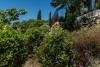 VILLA CLEMENTINE Carqueiranne